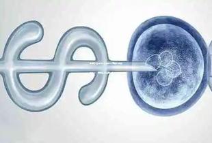 单身女性选择去泰国做试管婴儿需要多少钱，附相关收费明细！