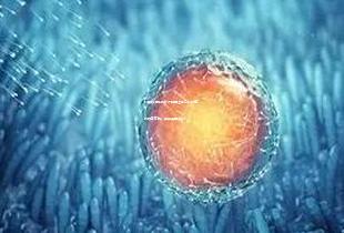 找中信湘雅比较好的医生做三代试管成功率高吗，具体费用多少！