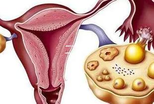 沈阳第三代试管婴儿价格多少？这几招学起来