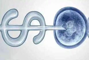 未婚女性能去泰国做试管婴儿吗,附带费用明细! 未婚女性能去泰国做试管婴儿吗,附带费用明细!