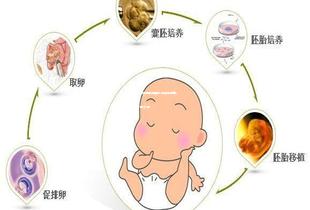 单身未婚女性试管婴儿成功率高吗,看完一目了然! 单身未婚女性试管婴儿成功率高吗,看完一目了然!