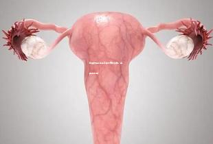 单身女性去乌克兰做试管可以吗,含具体花销! 单身女性去乌克兰做试管可以吗,含具体花销!