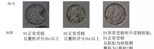 D5/6可移植、可冷冻和丢弃胚胎的标准