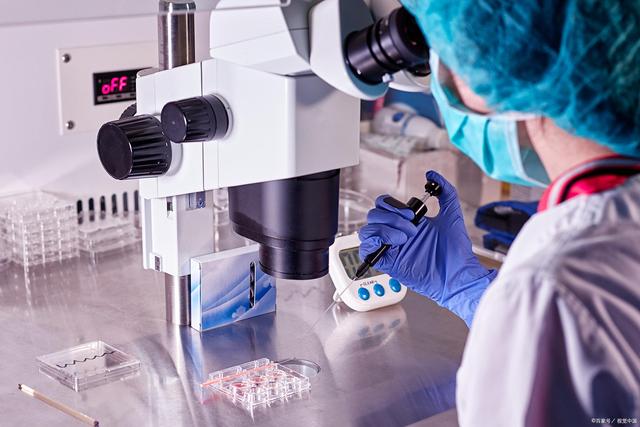 三代移植几次不成功?找准原因! 三代移植几次不成功?找准原因!