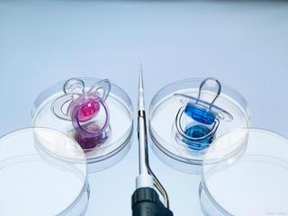 试管婴儿移植囊胚38天孕50天宝宝长多大了？