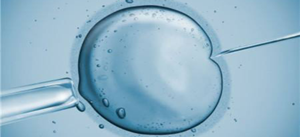 试管婴儿医生推荐