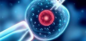 寻求试管婴儿生育