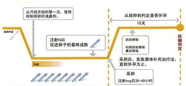 试管短方案流程图