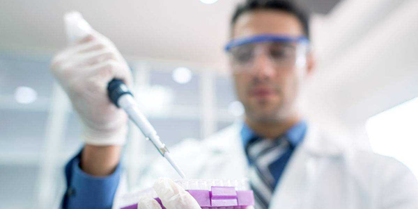 短方案好还是长方案好