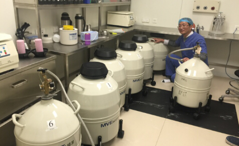 冷冻卵子实验室