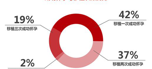广东做试管婴儿的成功率