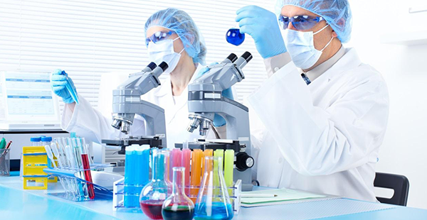 邵逸夫试管移植成功率