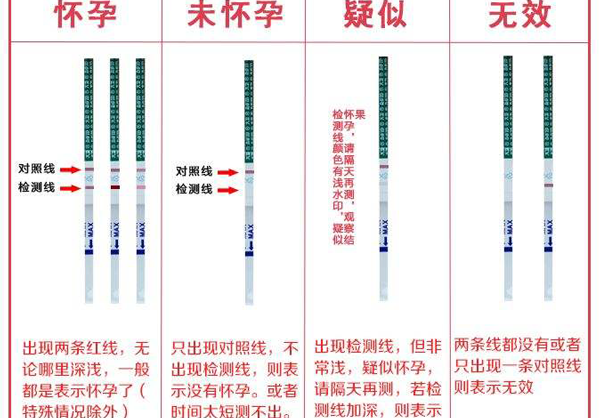 验孕的结果