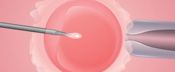 试管婴儿移植后为什么腹痛