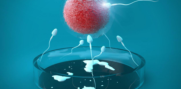 乌克兰试管婴儿的技术择非常重要