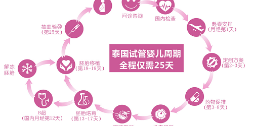 iBaby第三代试管婴儿流程