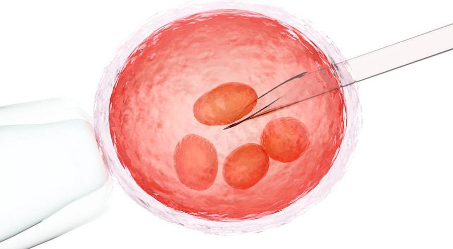 济南三代试管最好的医院名单汇总：山东大学齐鲁医院top1