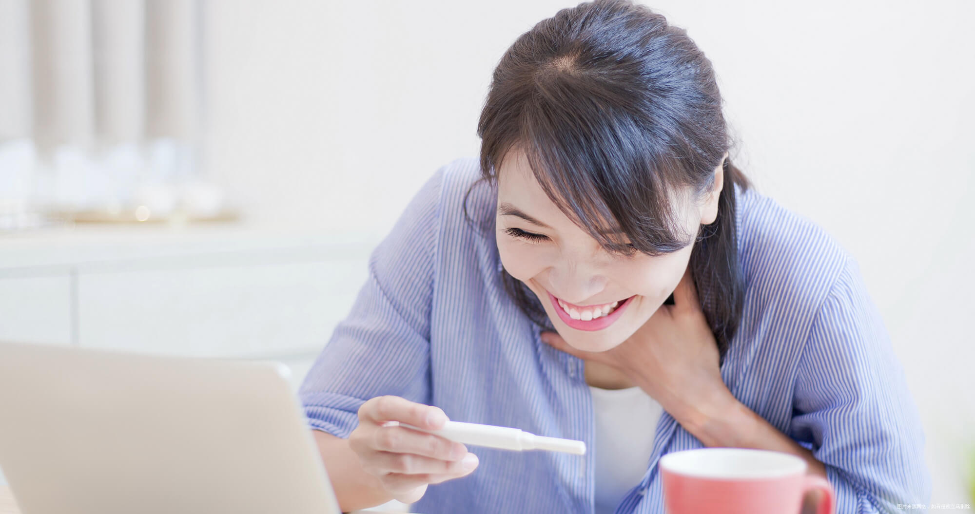 北京试管婴儿成功率
