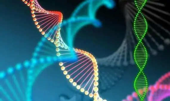 国内做试管医院哪家比较好？内附相关条件与费用一览