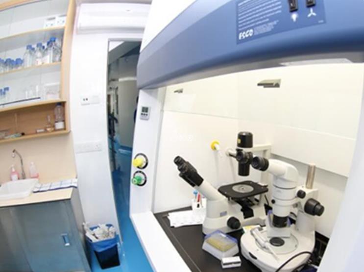 马来西亚试管成功率高的医院