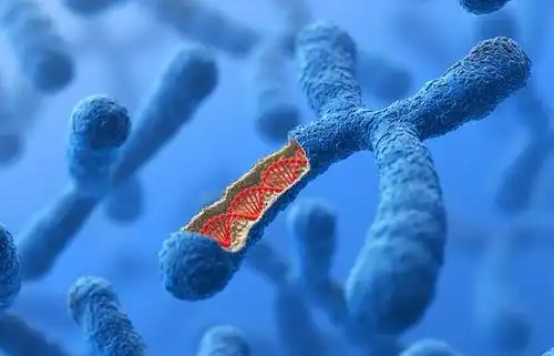 国内做试管医院哪家比较好？内附相关条件与费用一览