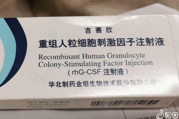 注射吉赛欣最佳时间