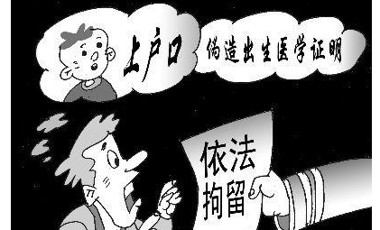 办假结婚证做试管违法