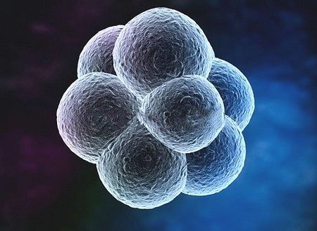 广州三代试管婴儿最好的私立医院? 广州三代试管婴儿最好的私立医院?