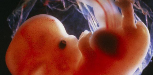 胚胎移植后出血常见原因