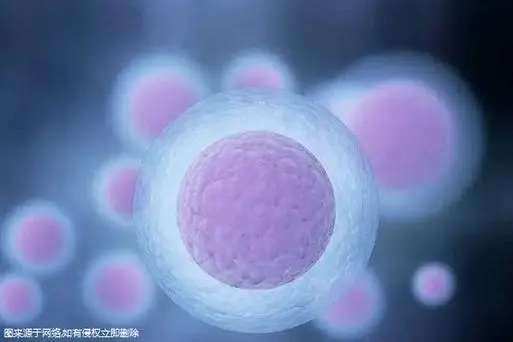 南宁私立医院做三代试管婴儿多少钱?附前三医院机构推荐