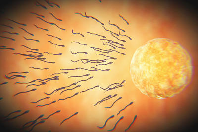 囊胚移植后小腹下坠有排便感怎么办? 囊胚移植后小腹下坠有排便感怎么办?