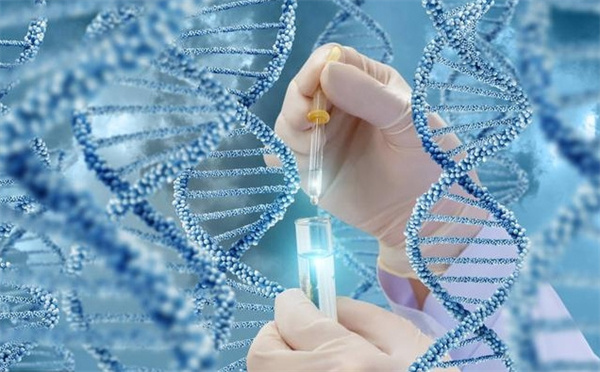 五个步骤带你了解试管移植手术全过程