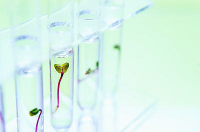 陕西有私立试管医院吗?西安试管婴儿私立医院排名 陕西有私立试管医院吗?西安试管婴儿私立医院排名