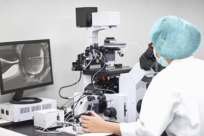 6个2PN养囊成功率高不高解析,优质胚胎成功率可达60% 6个2PN养囊成功率高不高解析,优质胚胎成功率可达60%