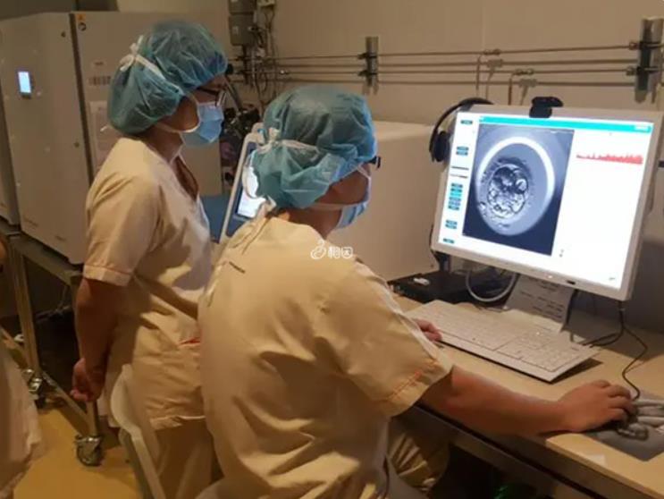 马来西亚试管婴儿成功率