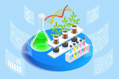雌二醇142可以正常移植冻囊胚吗？