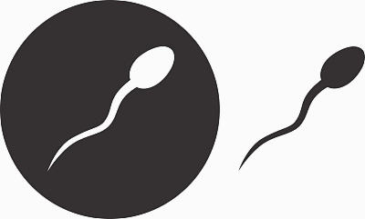 4ab囊胚质量好吗?囊胚移植着床全过程? 4ab囊胚质量好吗?囊胚移植着床全过程?