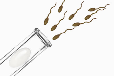 人工周期移植鲜胚失败后还会排卵吗？