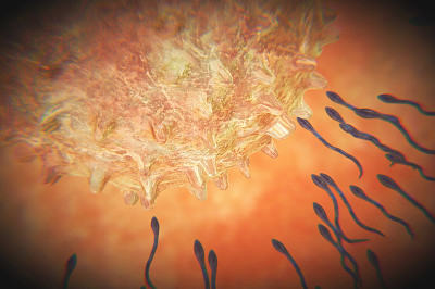 做试管取卵3次都没有成功，这个要怎么治疗呀？