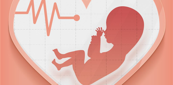 6aa囊胚质量好不好