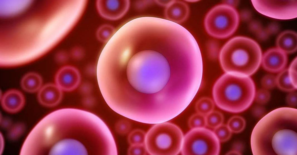 怎么评价试管婴儿卵子质量