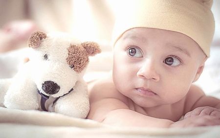 试管移植两个囊胚怀龙凤双胞胎的几率高吗？