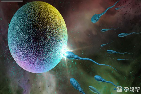 龙凤胎试管要多少费用