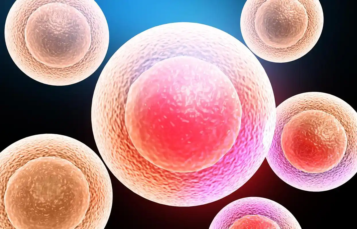 30岁试管婴儿移植成功率多高不确定,体质好的最高可达50%