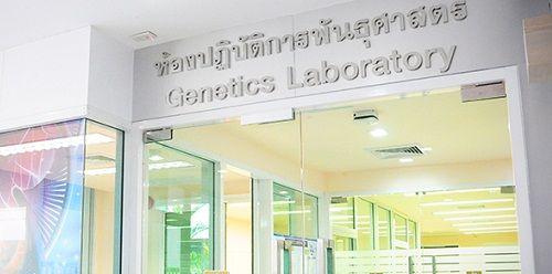 jetanin试管婴儿价格