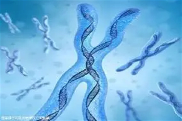 做试管婴儿老公不配合怎么样？30秒带你了解解决方案