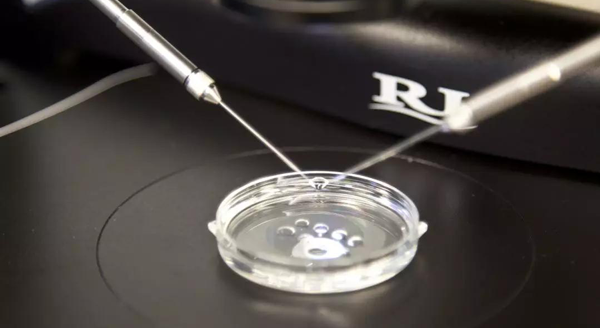 单精子显微注射仪