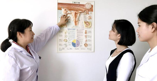 讲解胚胎移植的过程