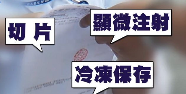 林志玲医疗单据曝光