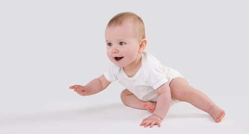 第二次移植费用多少